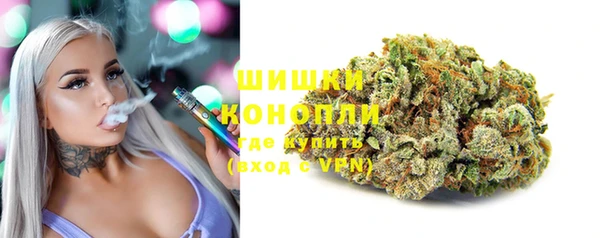 гашик Богданович