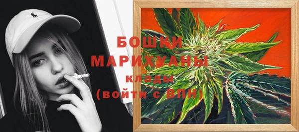 гашик Богданович