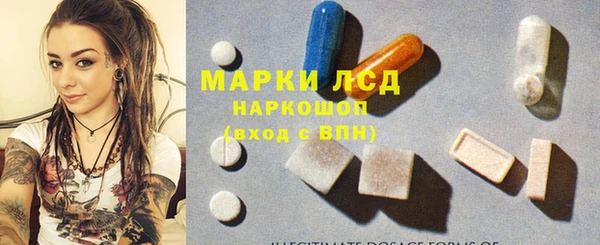 гашик Богданович