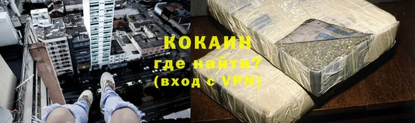 гашик Богданович