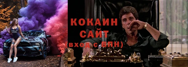 гашик Богданович