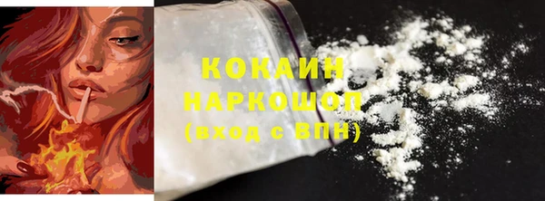 гашик Богданович
